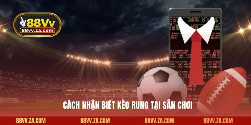 Cách nhận biết kèo rung tại sân chơi