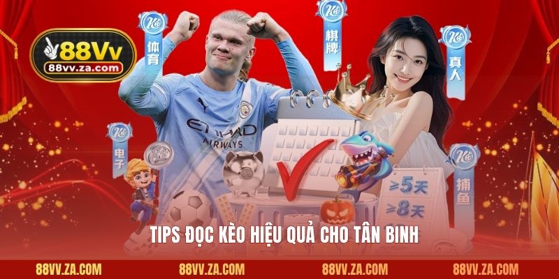 Tips đọc kèo hiệu quả cho tân binh