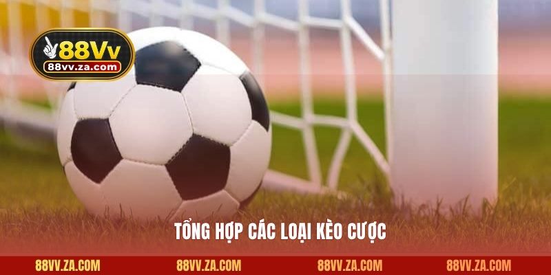 Tổng hợp các loại kèo cược